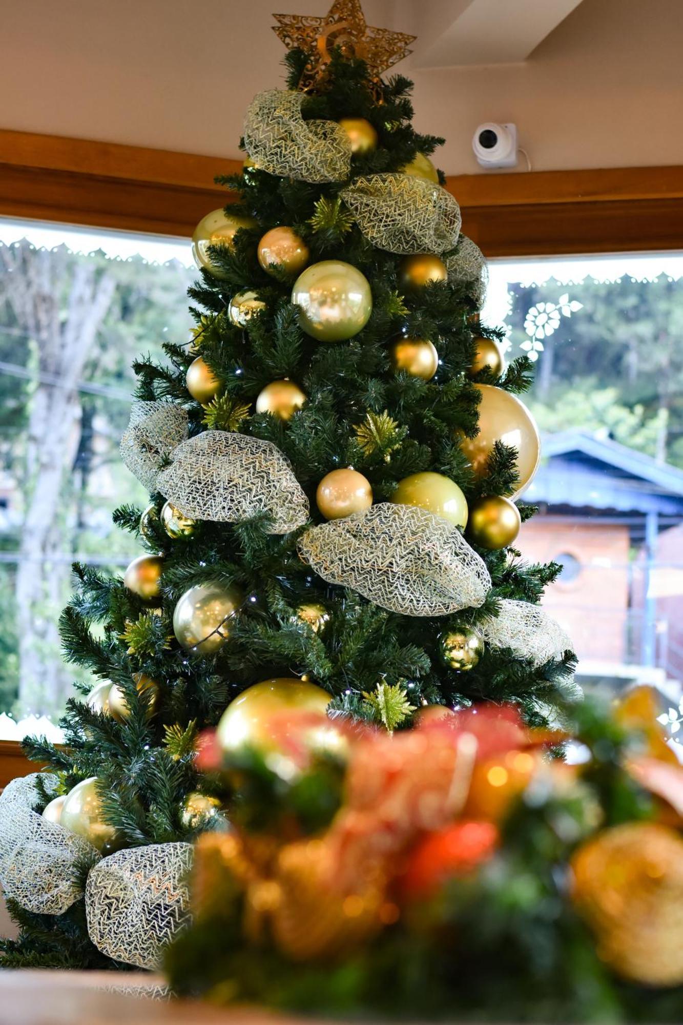 Pousada Boro Gramado Zewnętrze zdjęcie